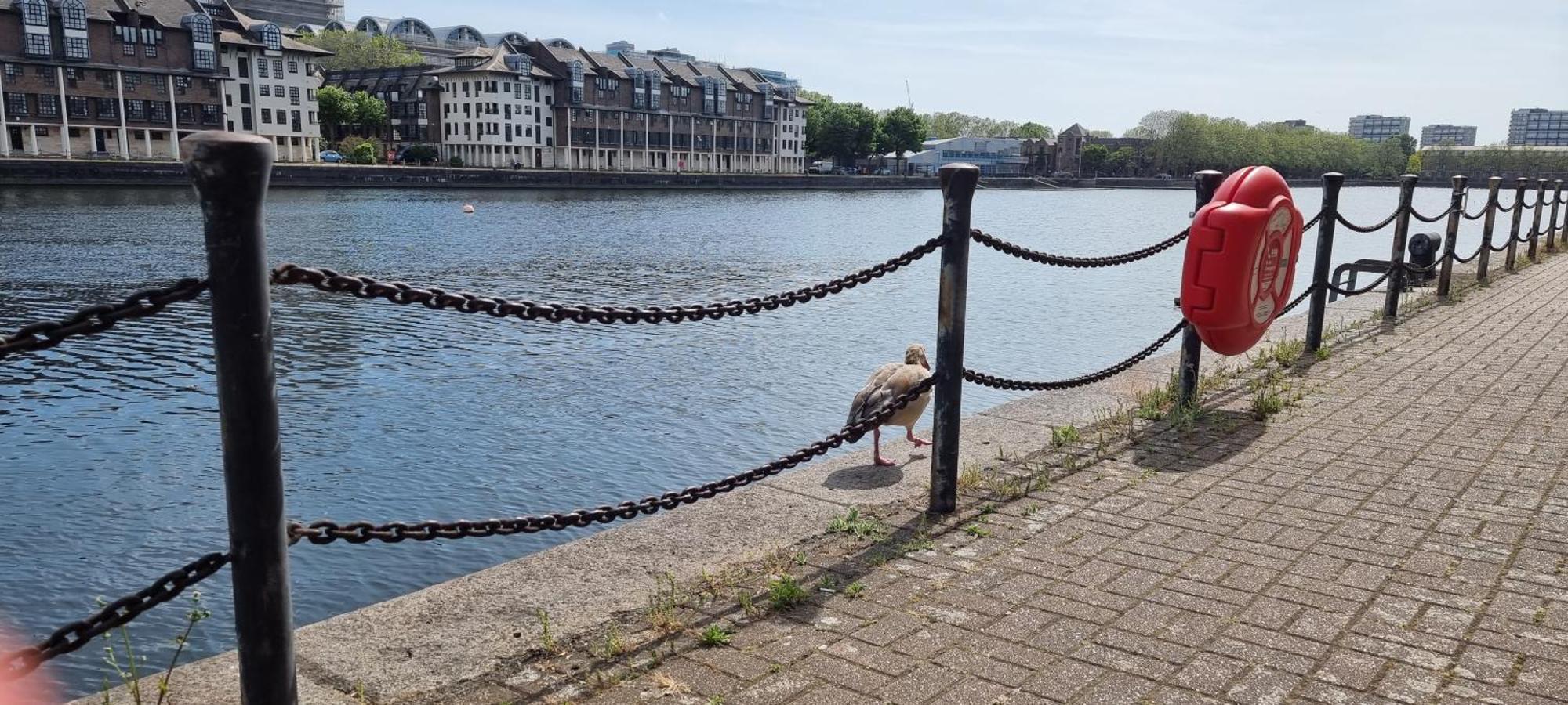 Riverside 1Br With Easy Transport 20Min To City Centre London Exteriör bild