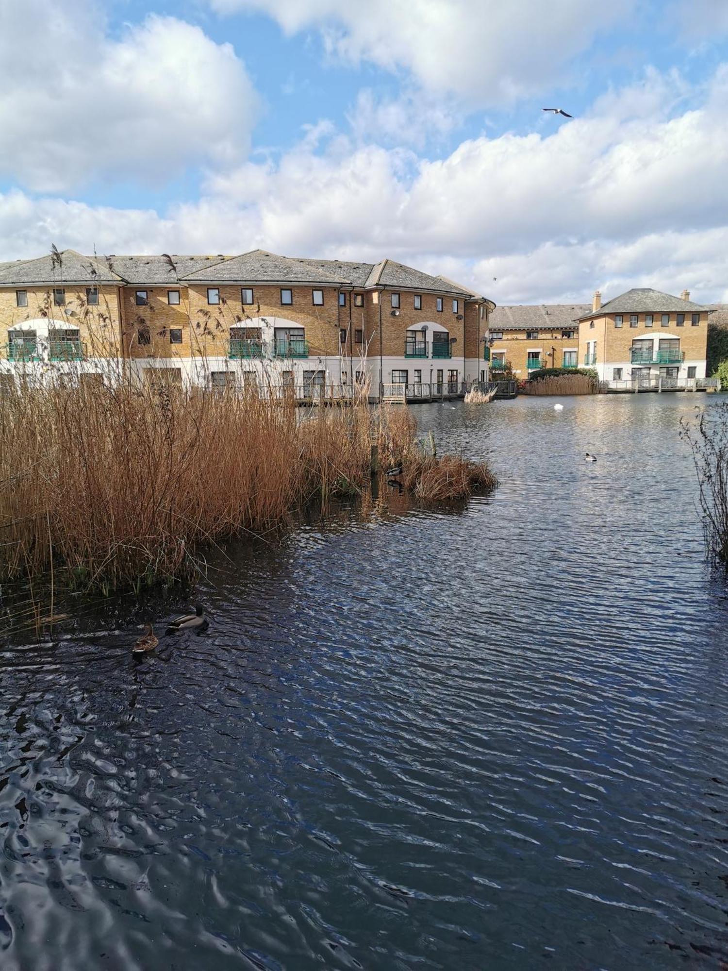 Riverside 1Br With Easy Transport 20Min To City Centre London Exteriör bild